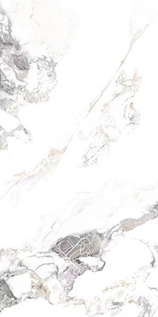 BSH 126237 комплект