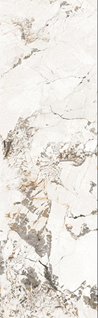 GFVC 826366 (коннект во все стороны)