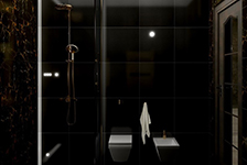 PSA 6007 + PSA 6025 + PRINCE PC