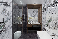 BSP 126302+CSM 126043