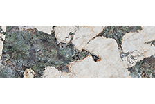 GFPC 927125_4