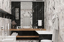 BSP 126315+BSP 126216