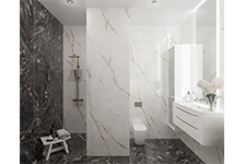 BSP 126311+ PIF 157522 2