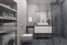 GSM 126676+GSM 126675