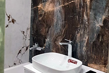 BSP 126205+BSP 126312 