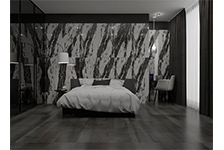 BSP 126320+RS 180908