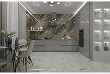 BSP 126330+PSA 6045 L