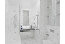 BSP 126201+ HSA 6029