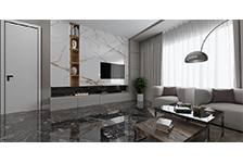 BSP 126311+BSP 126216+GFPC 826378