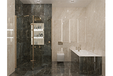 PSA 6022+BSP 126218 1