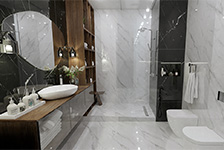 BSP 126001+BSP 126216