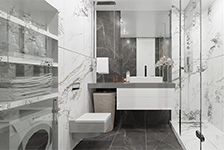 BSH126237+BSP 126209