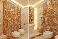 AMP 6950 + AMP 6972 (1)