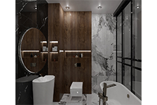 BSP 126216+BSP 126301