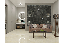 GFP 826104+GFPC 826608