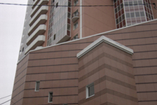 VOLCANIC PG, GRAND PG, PRINCE PC